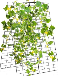 2 PcsTreillis de concombres, pour Plantes , Legumes et Fleurs, en Forme d'avec Accessoires, Filet de Treillis 122 x 86 cm
