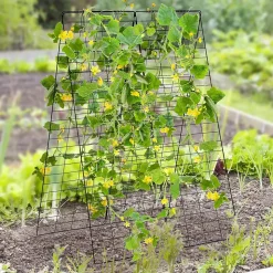 2 PcsTreillis de concombres, pour Plantes , Legumes et Fleurs, en Forme d'avec Accessoires, Filet de Treillis 122 x 86 cm