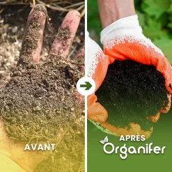 Accélérateur De Compost - 10 Kg Pour 50 À 200 M2 / 10 M3 - Pour Un Compost De Meilleure Qualité En Moins De Temps - Organifer