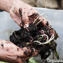 Accélérateur De Compost - 20 Kg Pour 100 À 400 M2 / 20 M3 - Pour Un Compost De Meilleure Qualité En Moins De Temps - Organifer