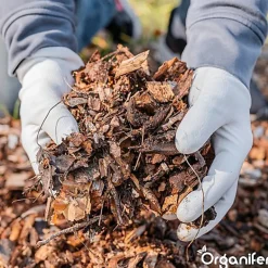 Accélérateur De Compost - 20 Kg Pour 100 À 400 M2 / 20 M3 - Pour Un Compost De Meilleure Qualité En Moins De Temps - Organifer