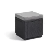 ALLIBERT JARDIN Table-pouf avec coussin et rangement integre - Imitation rotin tresse graphite