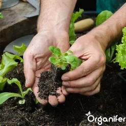 Amendement du Sol - Mélange Activateur - 50 Litres pour 50m2 - Organifer