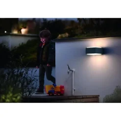 Applique murale Philips myGarden Hedgehog - Anthracite - 1x42W - LED - Extérieur