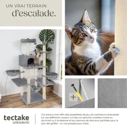 Arbre à chat griffoir escalade 165 cm avec corde en sisal gris
