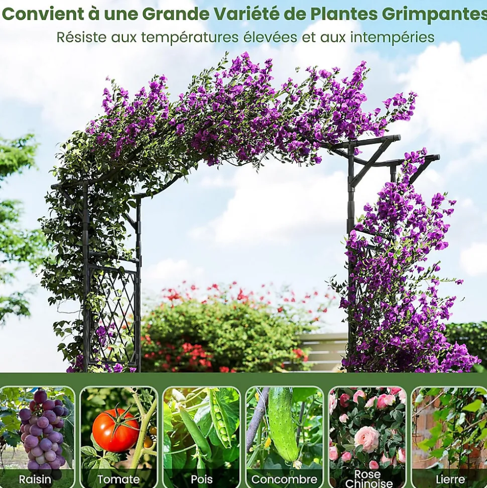 Arche de Jardin 210 CM avec Treillis, en Métal pour Plantes,Plantes Vignes, Décoration de Fête Mariage (Noir,170 x 39 x 210 cm)