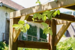 ARCHE DE JARDIN BOIS 160X60X214CM