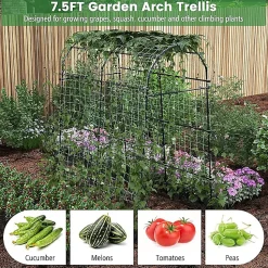 Arche de Jardin en Métal pour Différentes Plantes Grimpantes et Vignes Arche Treillis Revêtu PE pour Jardin