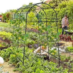 Arche de Jardin en Métal pour Différentes Plantes Grimpantes et Vignes Arche Treillis Revêtu PE pour Jardin