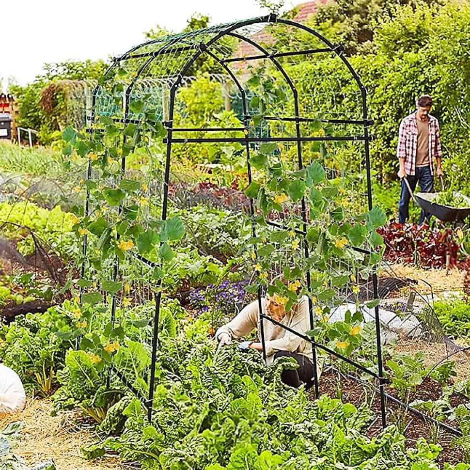 Arche de Jardin en Métal pour Différentes Plantes Grimpantes et Vignes Arche Treillis Revêtu PE pour Jardin