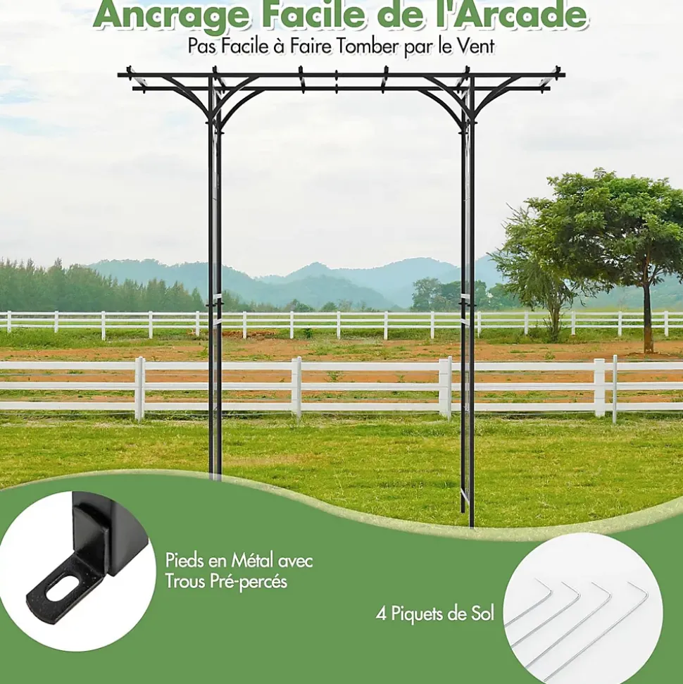 Arche de Jardin Fer 205 cm Arche de Jardin avec Treillis pour Plantes Grimpantes Vignes Roses Arche Décorative Extérieure
