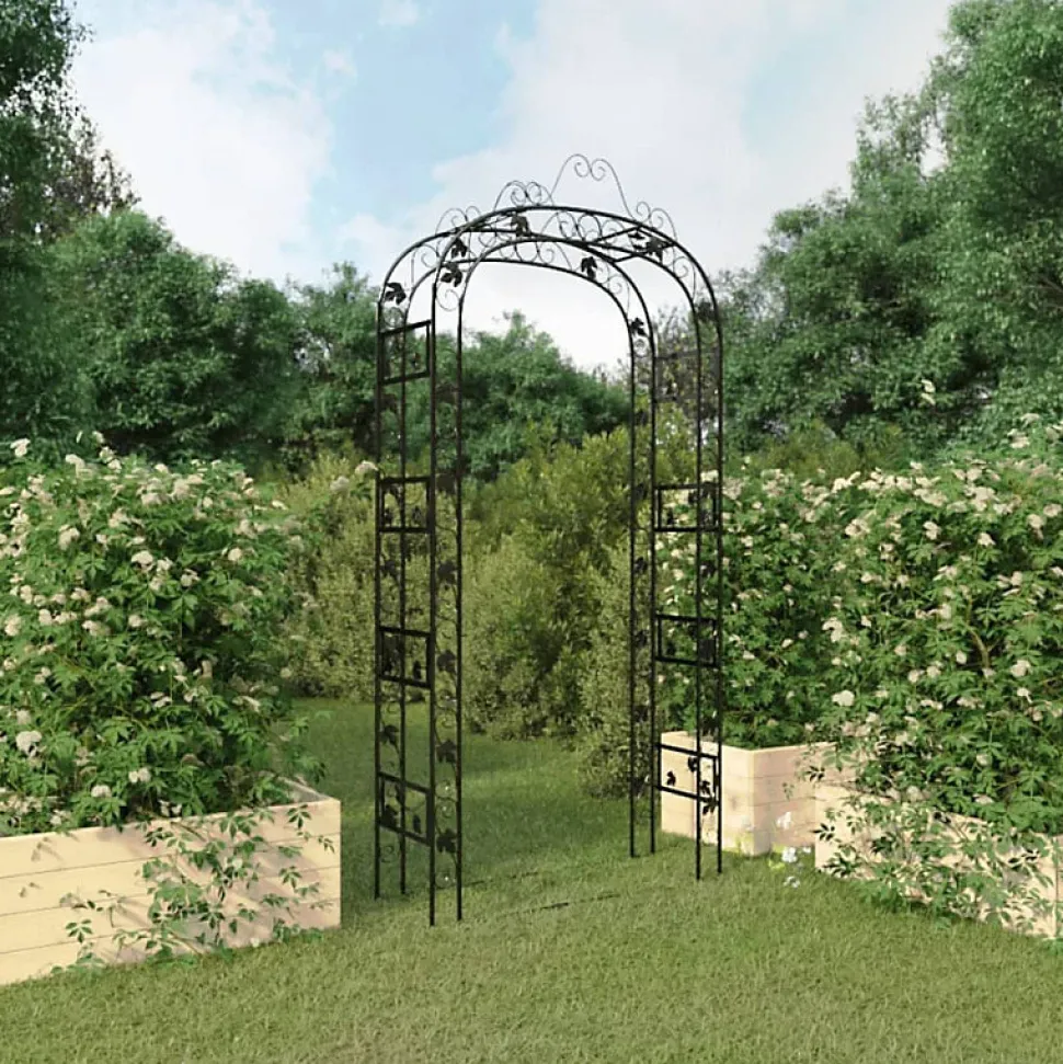 Arche de jardin Noir 116x45x240 cm Acier