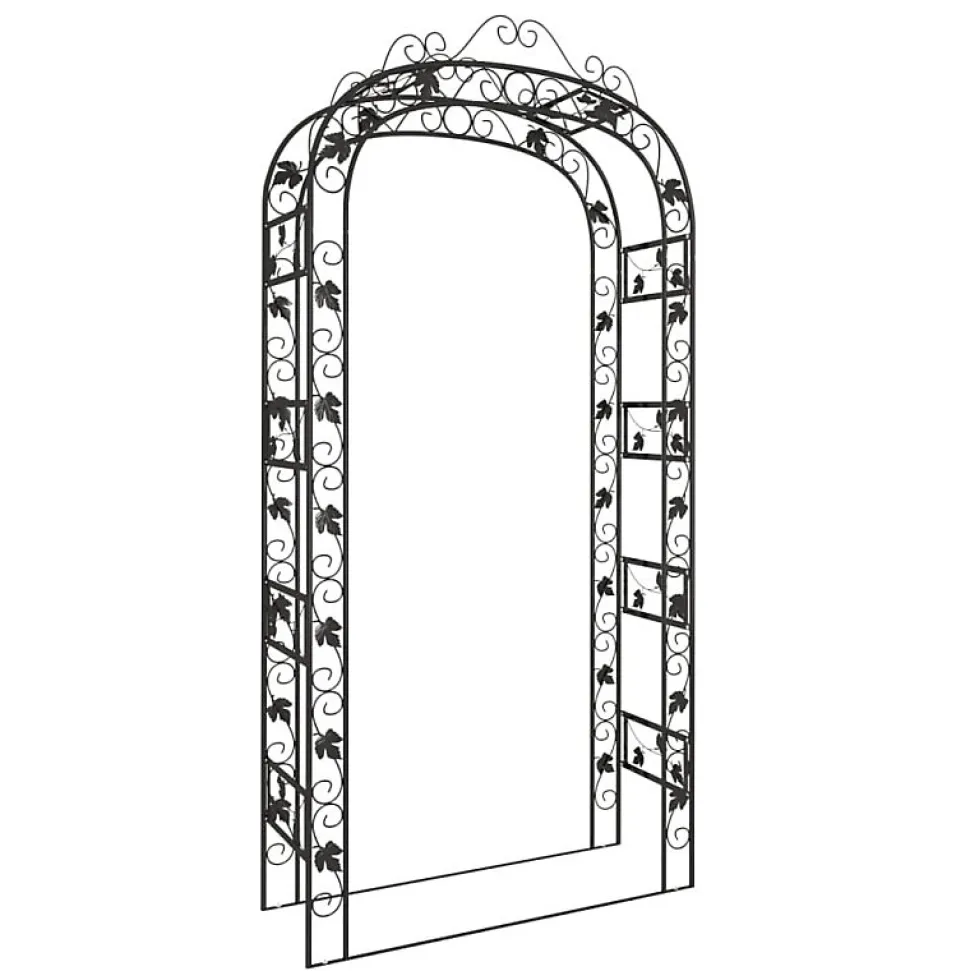 Arche de jardin Noir 116x45x240 cm Acier