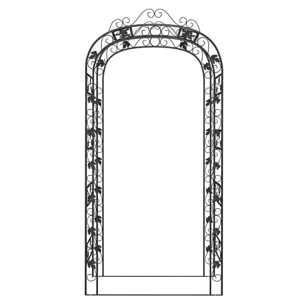 Arche de jardin Noir 116x45x240 cm Acier