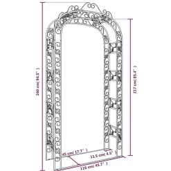 Arche de jardin Noir 116x45x240 cm Acier