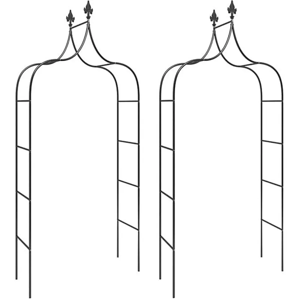 Arches de jardin 2 pcs Noir 120x38x260 cm Acier