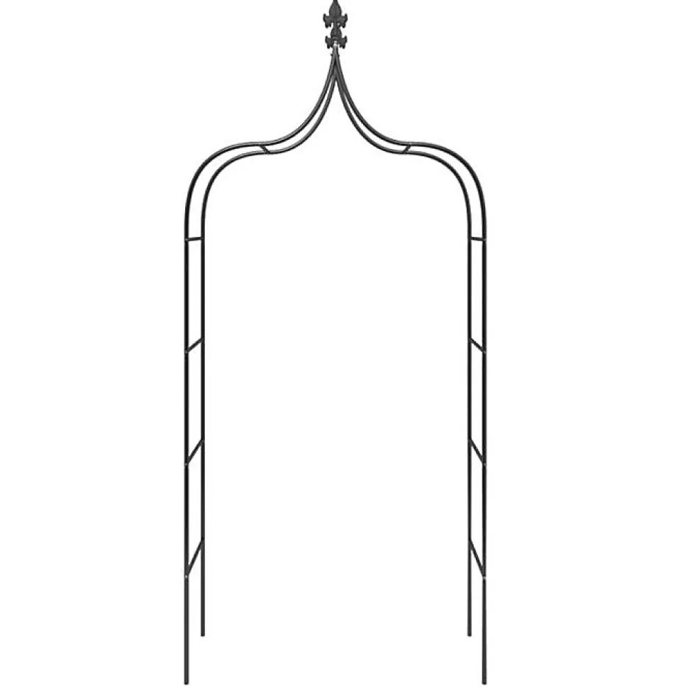 Arches de jardin 2 pcs Noir 120x38x260 cm Acier