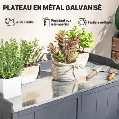 Armoire de rangement de jardin sur pied table de rempotage 2 en 1 double porte avec étagère bois sapin gris