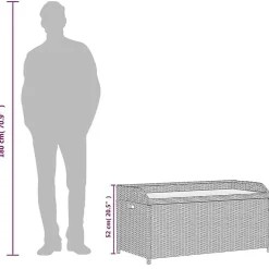Banc de rangement gris résine tressée et bois d'acacia vidaXL