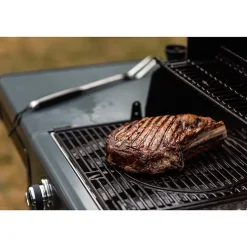 Barbecue à gaz Campingaz Premium 4 S