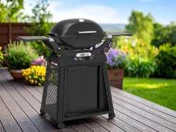 Barbecue à gaz Q 2800N+ Chariot noir - Weber