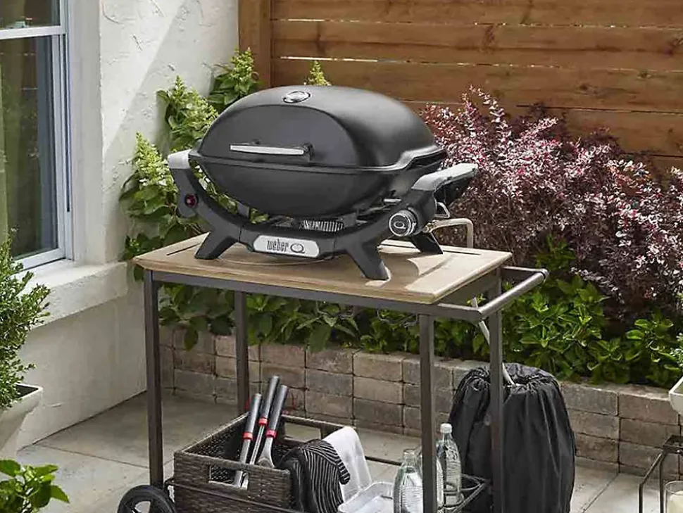 Barbecue à gaz Q 2100N noir + Housse - Weber