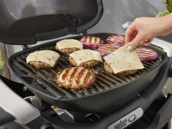 Barbecue à gaz Q 1200N noir - Weber