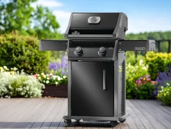 Barbecue à gaz Rogue 365 RSIB 2 brûleurs - Napoléon