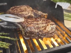 Barbecue à gaz Spirit E-335 - Weber