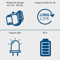 batterie 2.0Ah 20V - batterie universelle pour la gamme SCHEPPACH 20V IXES
