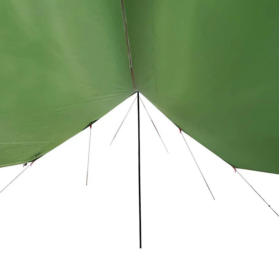 Bâche de camping vert 460x305x210 cm imperméable vidaXL