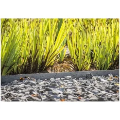 Bordure de jardin droite 1,2 m x 14 cm - Brun