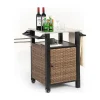 Chariot Bar Extérieur 1 Porte Osier Acier Inox Plateau Marron Blackcolors