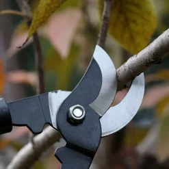 Ciseaux De Taille 1 Pièce Ciseaux De Jardin Ciseaux De Greffage Sécateur