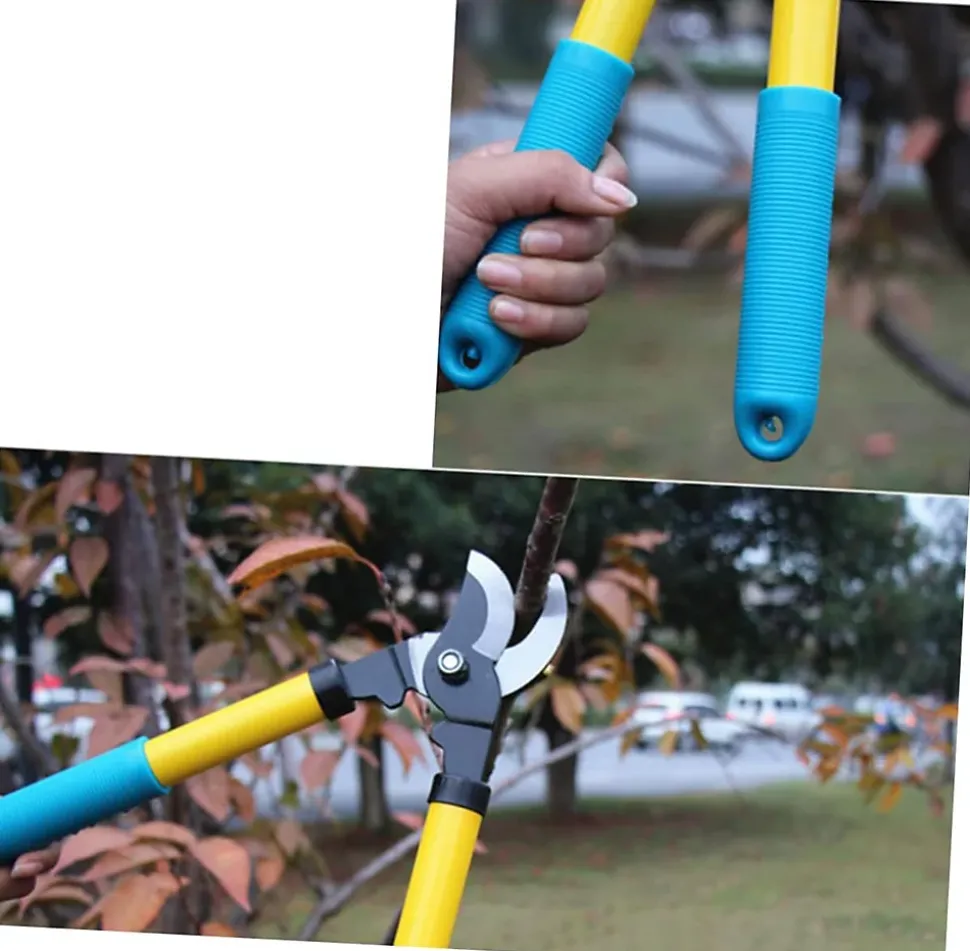 Ciseaux De Taille 1 Pièce Ciseaux De Jardin Ciseaux De Greffage Sécateur