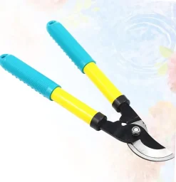 Ciseaux De Taille 1 Pièce Ciseaux De Jardin Ciseaux De Greffage Sécateur