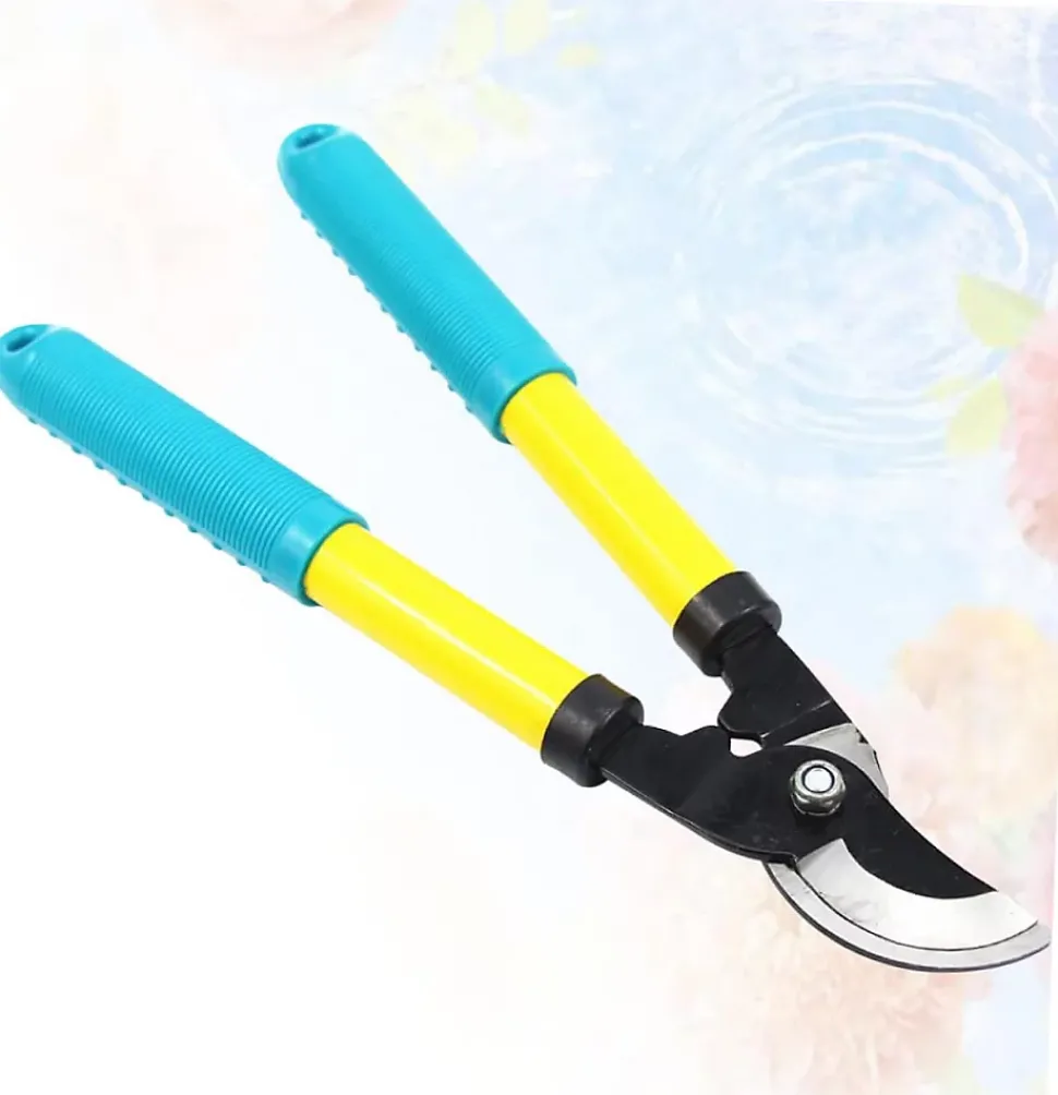 Ciseaux De Taille 1 Pièce Ciseaux De Jardin Ciseaux De Greffage Sécateur