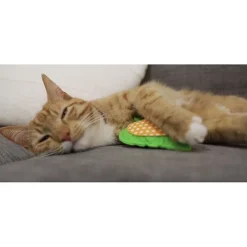 Feutre Cœur avec garnissage Valériane 11 cm Jouet pour Chat,