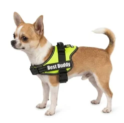 Harnais réglable pour chien Pluto