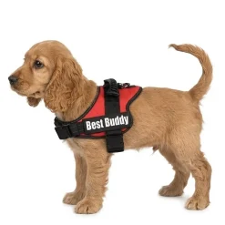 Harnais réglable pour chien Pluto