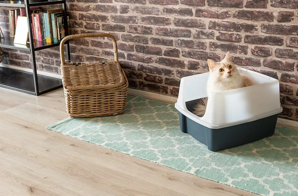 Iris Ohyama, Lot de 2, Bac à litière, avec côtés hauts, pour chat, CLH-12, Gris