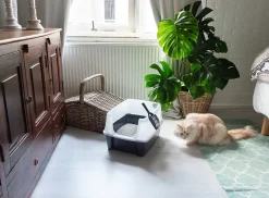 Iris Ohyama, Lot de 2, Bac à litière, avec côtés hauts, pour chat, CLH-12, Gris