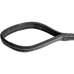 Laisse Réfléchissante Amortissante "Expert" 70cm Noir