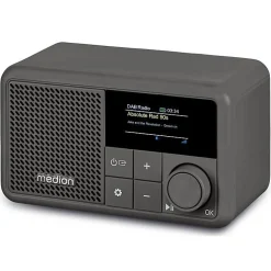 Mini Radio DAB FM Medion gris Bluetooth 5.3 écran TFT 1,47 pouce 2 W RMS