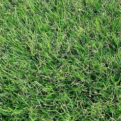 2Mx5M soit 10m2 - Gazon Synthetique 35mm -
