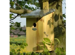 Nichoir observatoire pour oiseaux - Esschert Design
