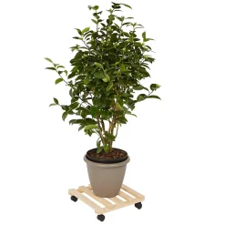Plateau de manutention carré Diall 80 kg