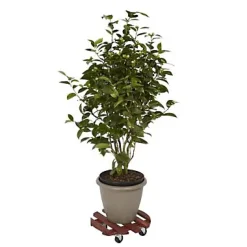 Plateau de manutention rond 150 kg Diall