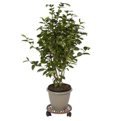 Plateau de manutention rond 50 kg Diall