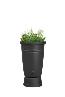 Récupérateur d'eau de pluie 110L Elho coloris noir Ø.31,1 x H.80,4 cm